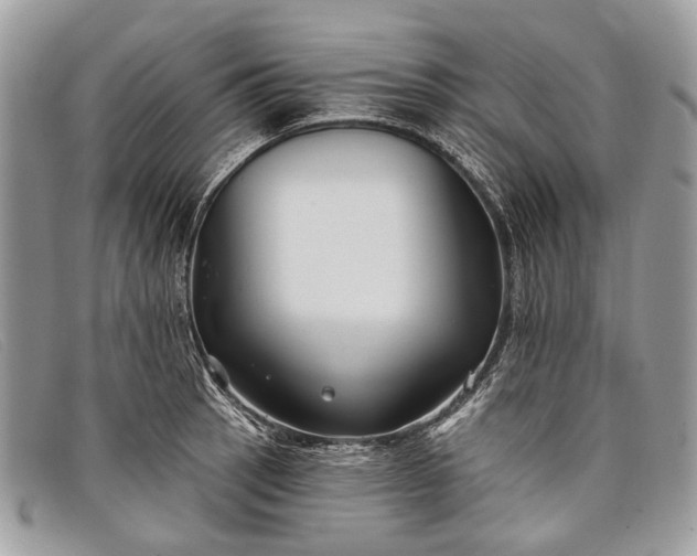 X0000098031137200804111316