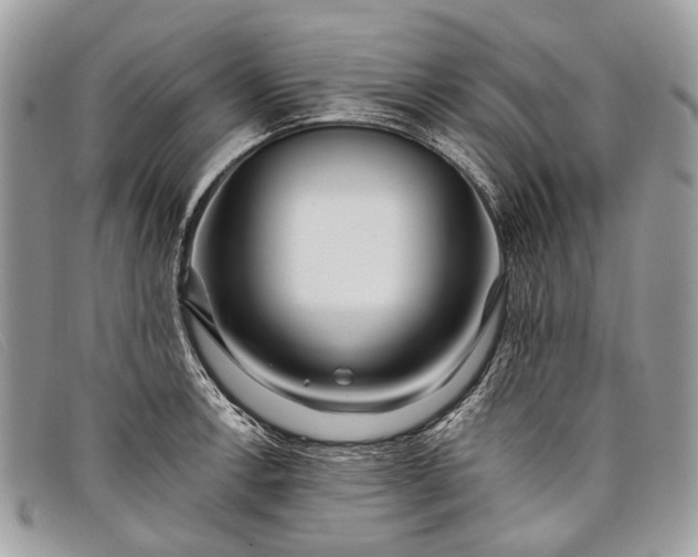 X0000098031138200804111316