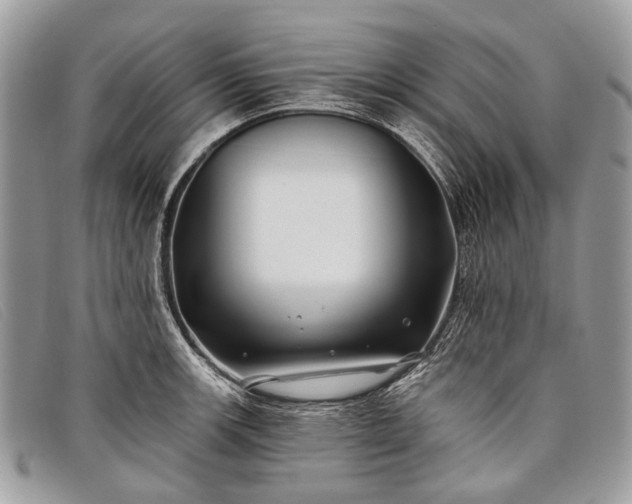 X0000098031139200804111316