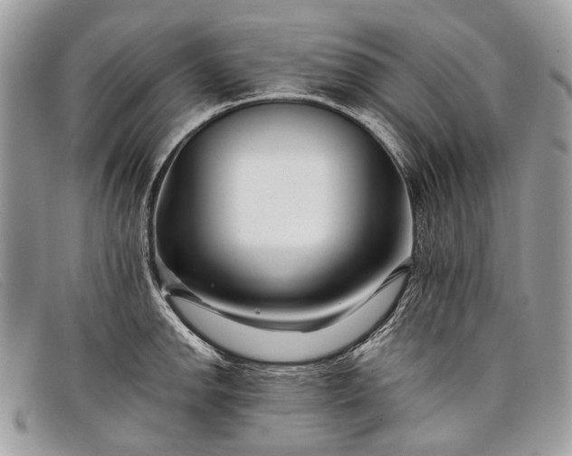 X0000098031142200804111316