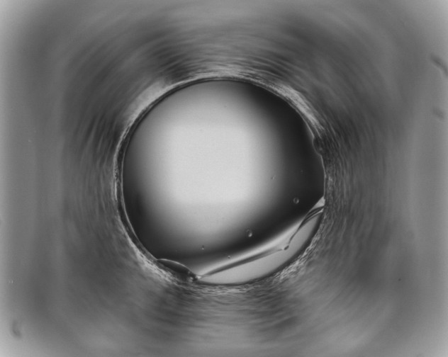 X0000098031143200804111316