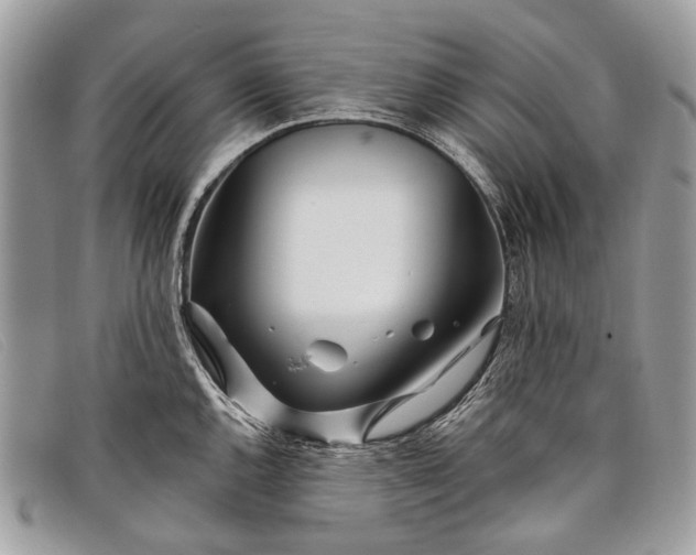 X0000098031144200804111316