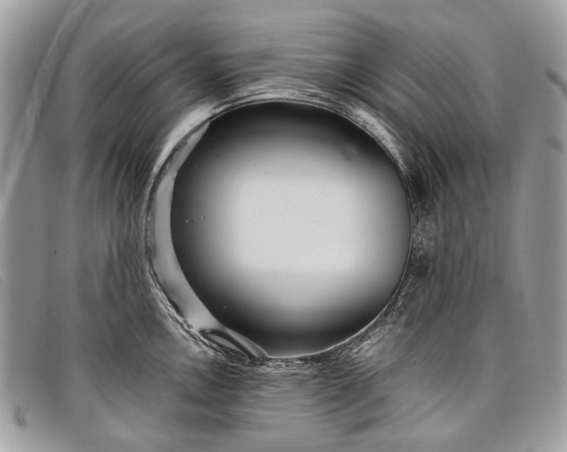 X0000098031146200804111316