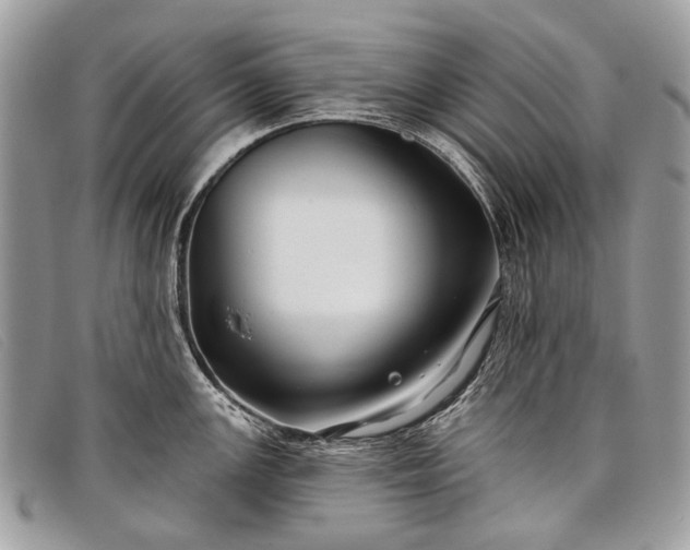 X0000098031147200804111316