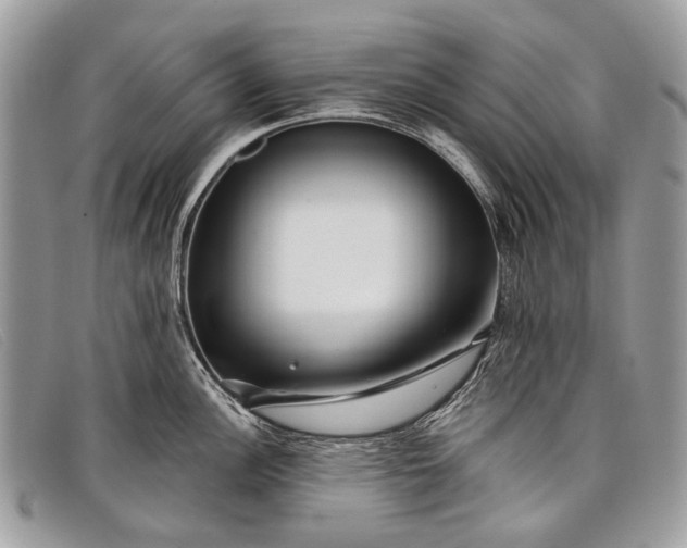 X0000098031148200804111316