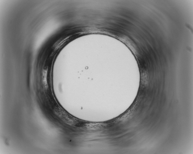 X0000098031150200804111316