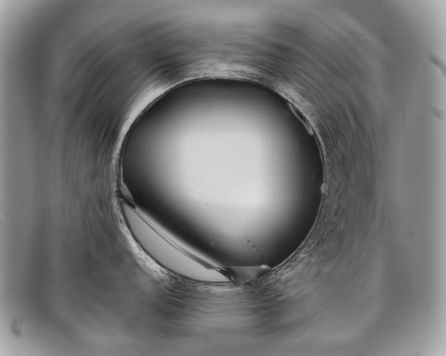 X0000098031152200804111316