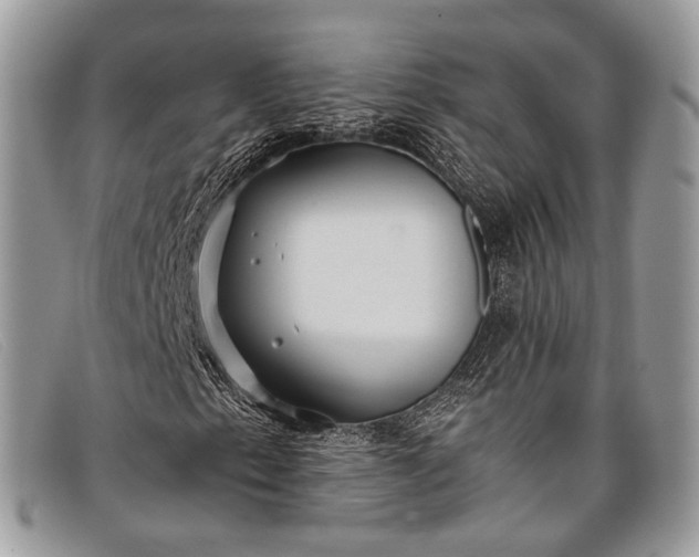 X0000098031153200804111316