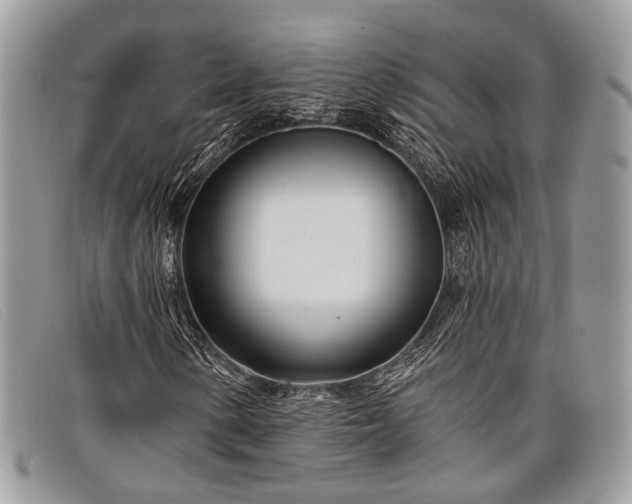 X0000098031154200804111316