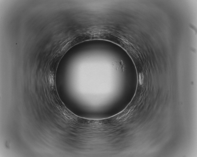 X0000098031155200804111316