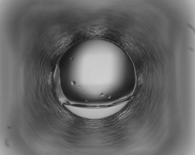 X0000098031156200804111316