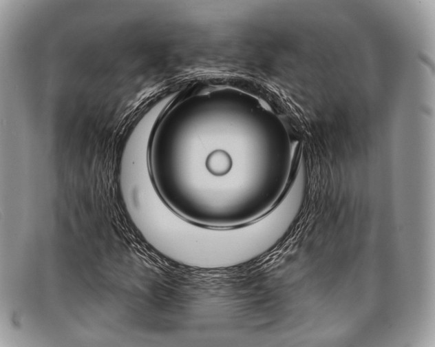 X0000098031157200804111316