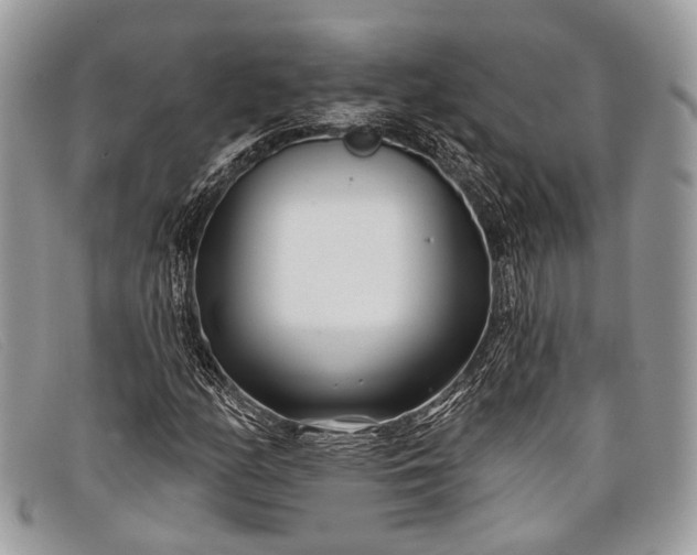 X0000098031158200804111316