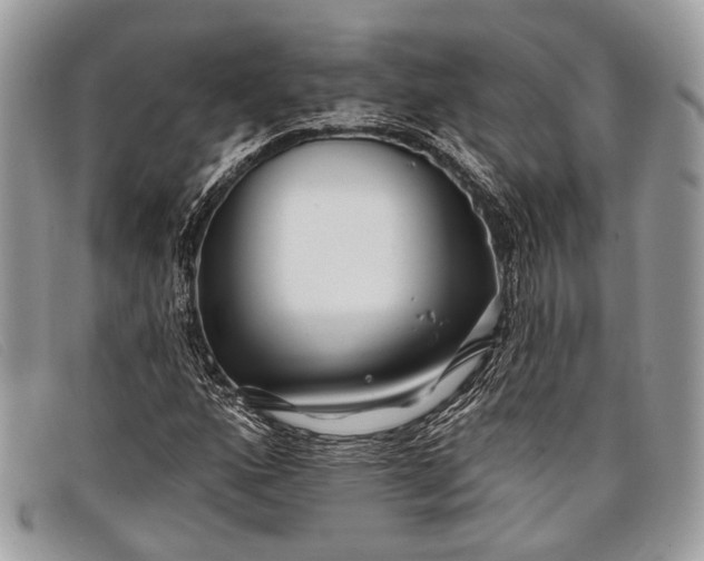 X0000098031160200804111316