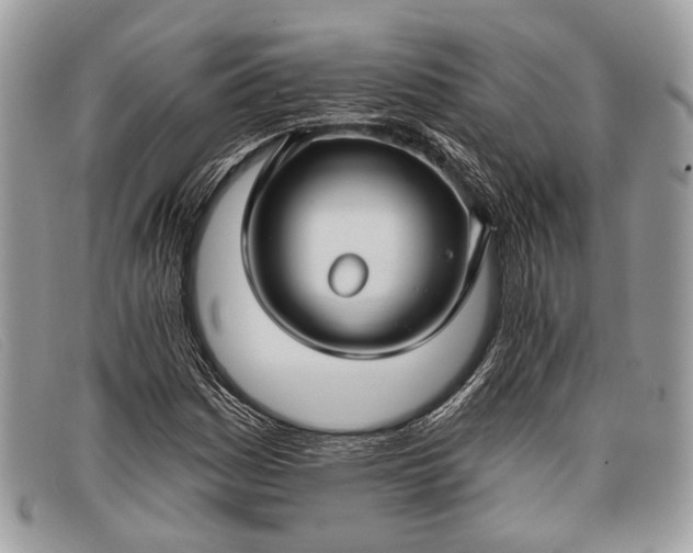 X0000098031161200804111316