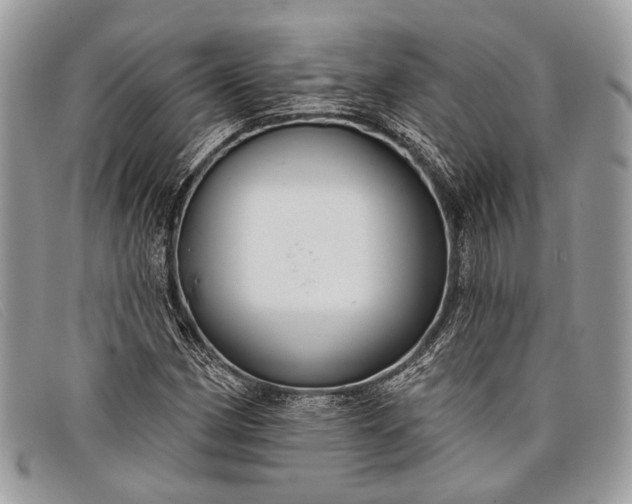 X0000098031162200804111316