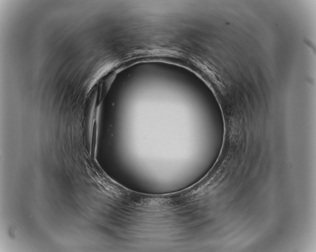 X0000098031163200804111315