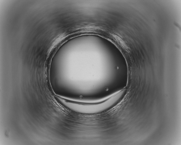 X0000098031164200804111315