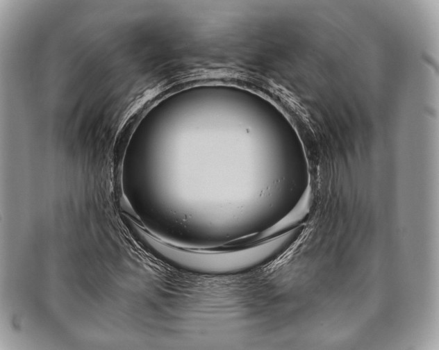 X0000098031165200804111315