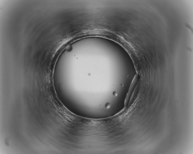 X0000098031166200804111315