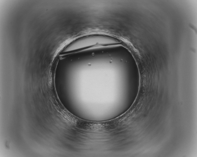 X0000098031167200804111315