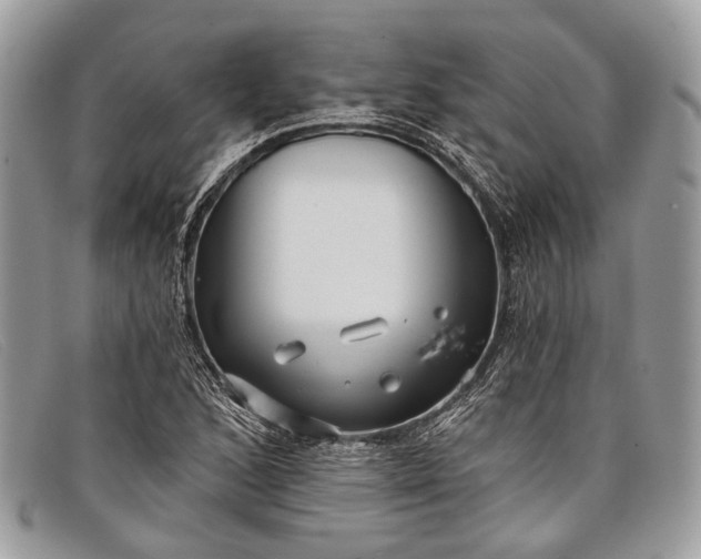 X0000098031168200804111315