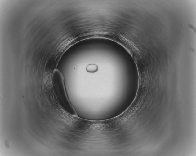 X0000098031169200804111315