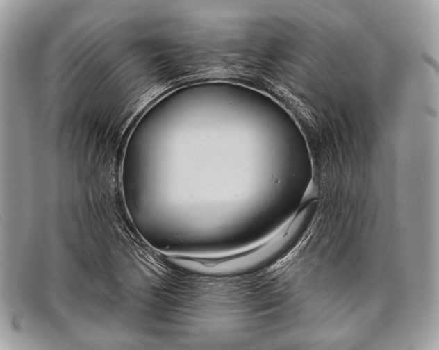 X0000098031170200804111315