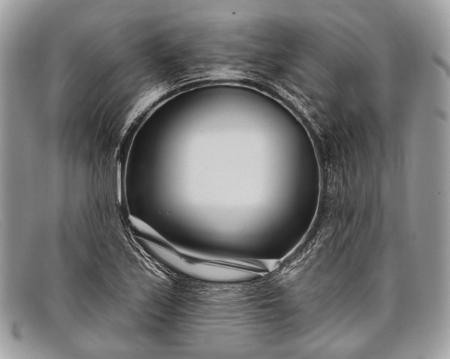 X0000098031171200804111315