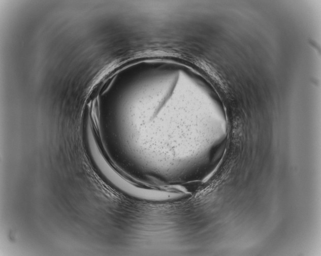 X0000098031173200804111315