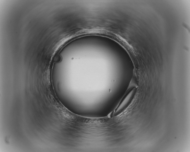 X0000098031174200804111315