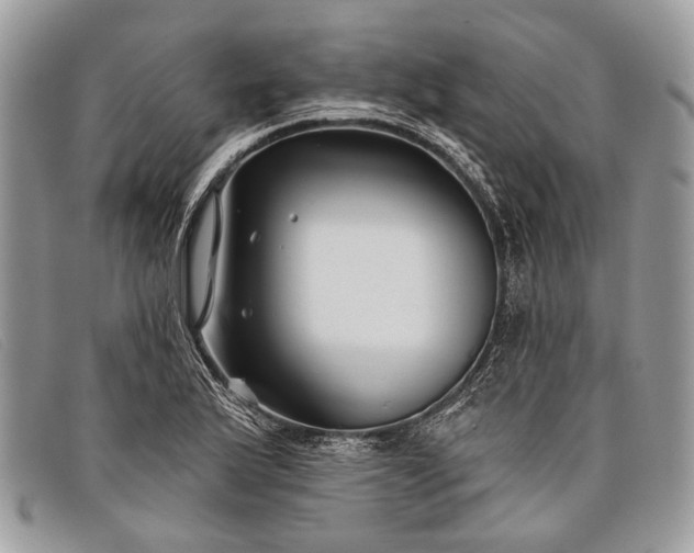 X0000098031175200804111315