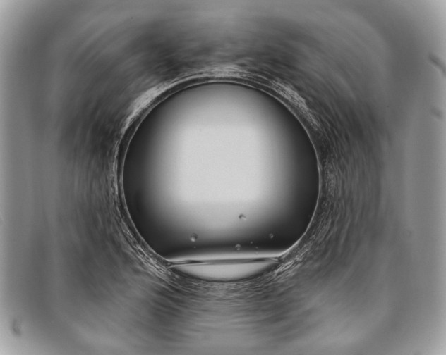 X0000098031176200804111315