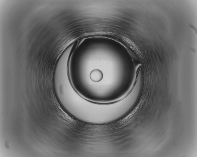 X0000098031177200804111315