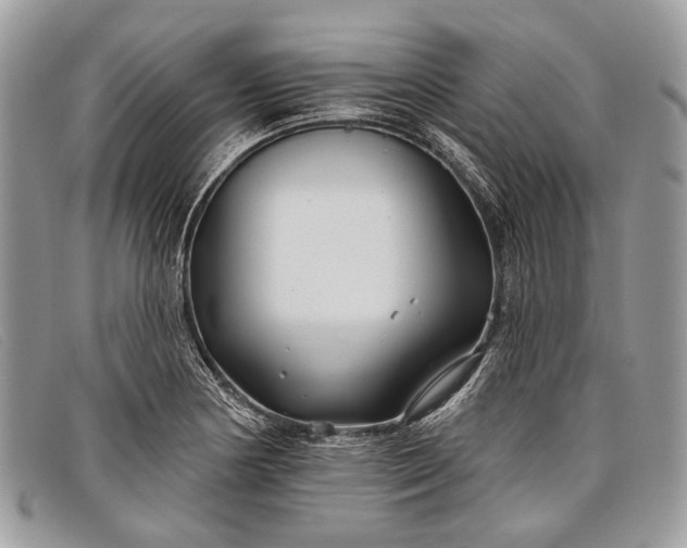 X0000098031178200804111315