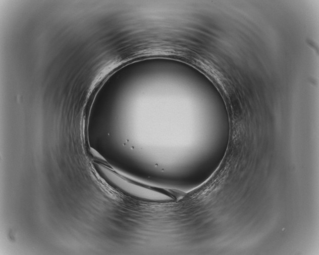 X0000098031179200804111315