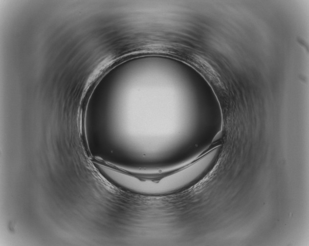 X0000098031180200804111315