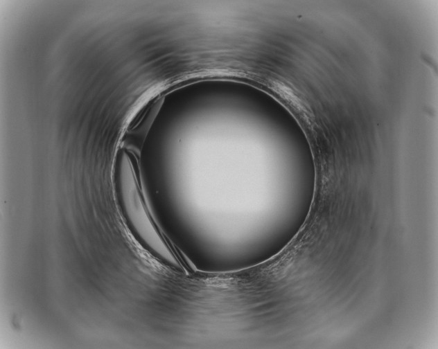 X0000098031181200804111315