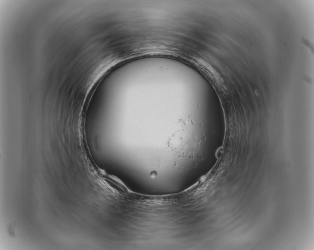 X0000098031182200804111315