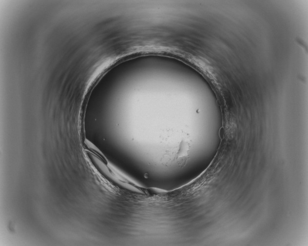 X0000098031183200804111315