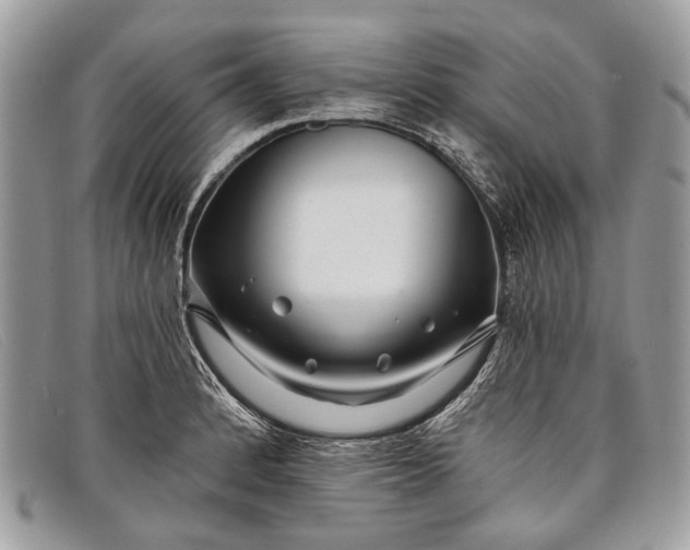 X0000098031184200804111315