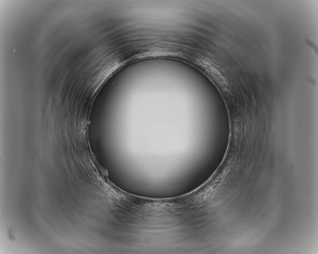 X0000098031185200804111315