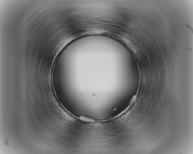 X0000098031186200804111315