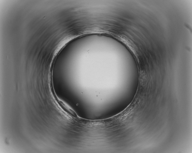 X0000098031187200804111315