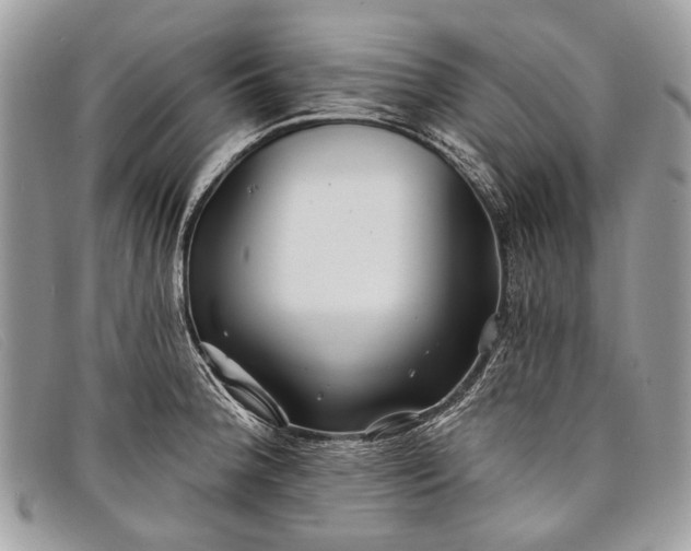 X0000098031188200804111315