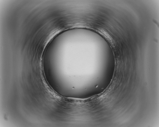 X0000098031190200804111315