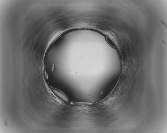 X0000098031191200804111315