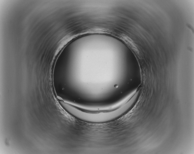 X0000098031192200804111315