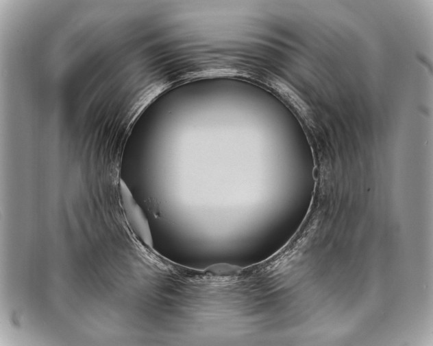 X0000098031193200804111315