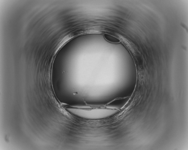 X0000098031194200804111315